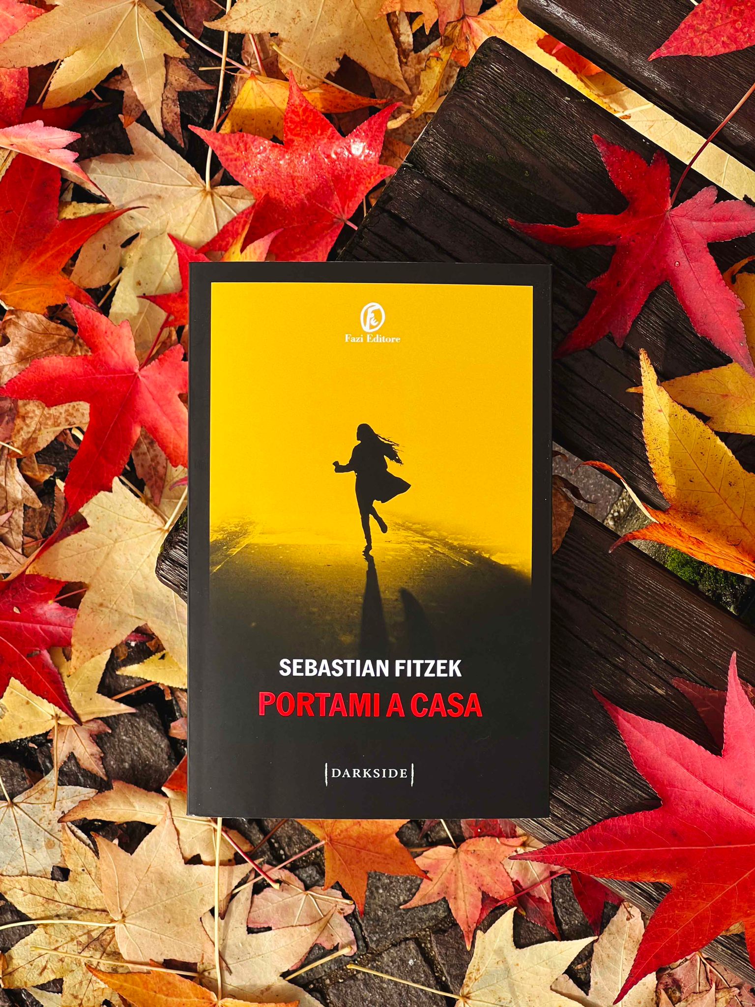 Portami a casa Sebastian Fitzek recensione