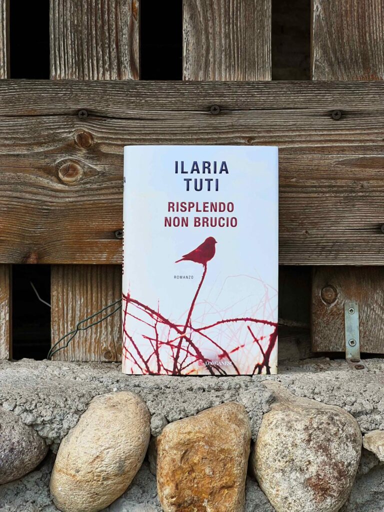 Risplendo, non brucio Ilaria Tuti recensione